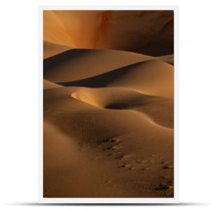 Closeup photo of desert digital wallpaper