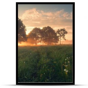 Colorful spring sunrise on meadow