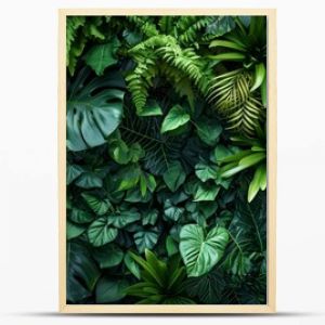 Dark green plants growing in a lush foliage background of tropical leaves like anthurium, epiphytes, or ferns, forming a beautiful green plant wall design in a cloud forest.