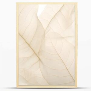 neutral color aesthetic photo with veins of leaf, Nature abstract of flower petals