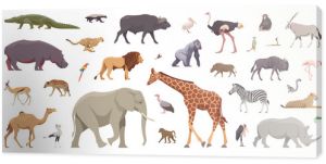 Płaski zestaw zwierząt afrykańskich Pojedyncze zwierzęta na białym tle Ilustracja wektorowa