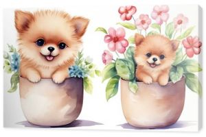 watercolor style illustration of happy baby pomeranian dog puppy  in flower plant pot blossom garden, idea for home wall decor, kid room, Generative Ai