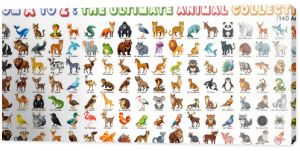 Set of animals collection arranged in alphabetical order from A to Z, Perfect for design and education and kids content.