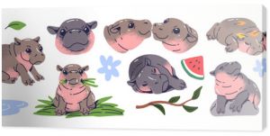 Cute baby hippo set. Funny pygmy hippopotamus has fun, sleeps, eats watermelon. Happy plump African animal swims in water, walks, relaxes. Flat isolated vector illustrations on white background