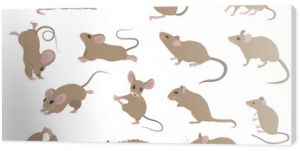 Different mice. Mouse yoga poses and exercises. Cute cartoon clipart set