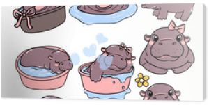 cute baby pygmy hippo bouncy pig cartoon character collection