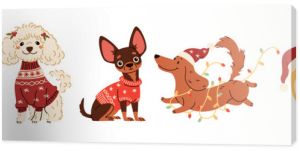 A set of vector illustrations in children's style on Christmas theme. Cute dogs in warm sweaters and scarves, Santa Claus hat and Christmas garland. Dachshund Pug Spitz Poodle Spaniel Chihuahua