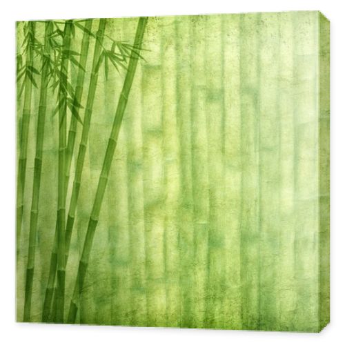 Bamboo on old grunge paper texture background