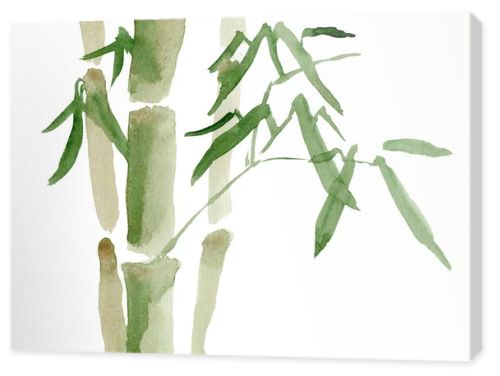 bamboo grove, watercolor drawing illustration. Vertical branches