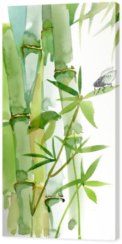 Watercolor bamboo with fly