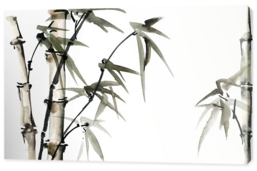 Watercolor illustration of bamboo with leaves on white background. Oriental traditional painting, sumi-e.