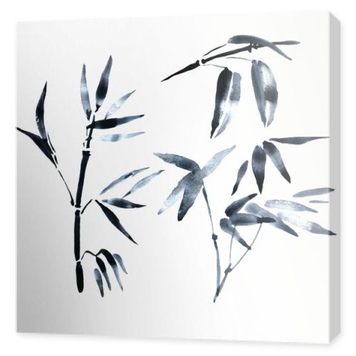 Watercolor paint bamboo,