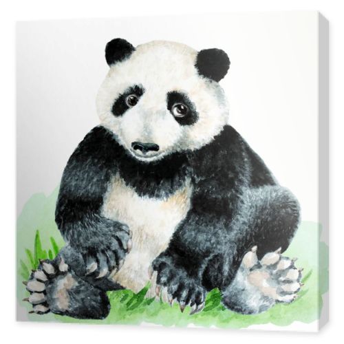 Panda cub sitting on grass on a white background, hand drawn watercolor illustration.