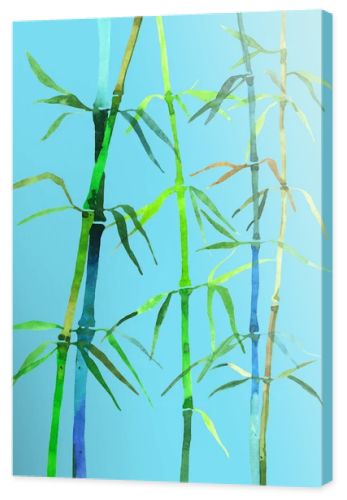 watercolor illustration bamboo