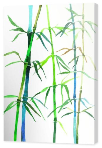 watercolor illustration bamboo