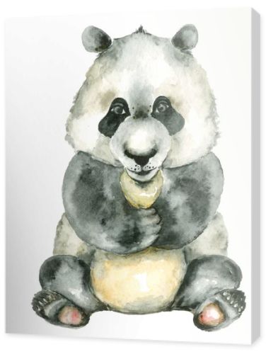 watercolor sitting panda