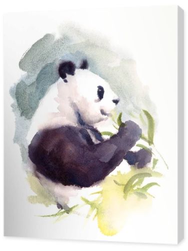 Watercolor Panda Eating Bamboo Animal Illustration Hand Drawn Wildlife