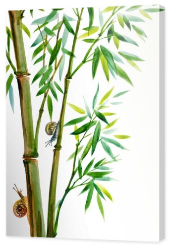 Growing bamboo and snails, watercolor illustration on a white background, isolated. Bamboo is a symbol of longevity, oriental, Chinese painting of usin.