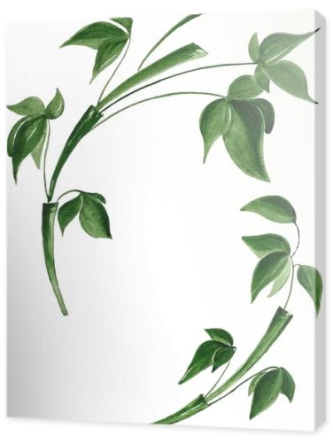 Isolated bamboo leaves on white background