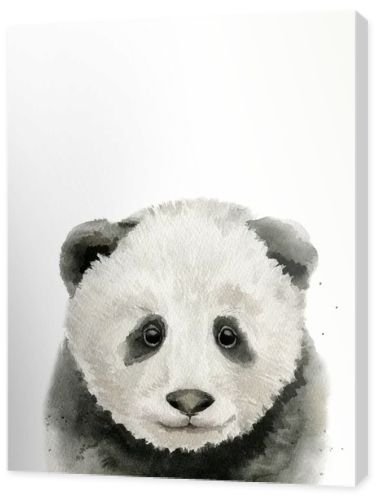 Baby panda portrait. Animal head. Watercolour illustration on white background.