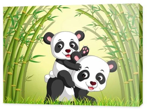 two cute panda in a bamboo forest