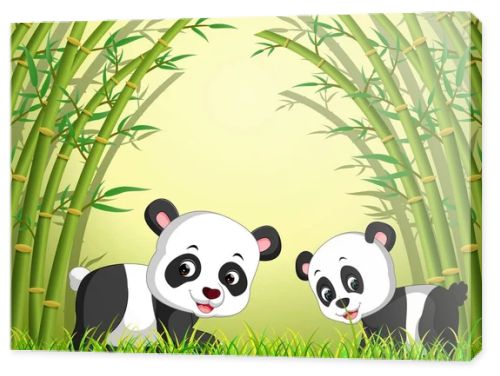 two cute panda in a bamboo forest