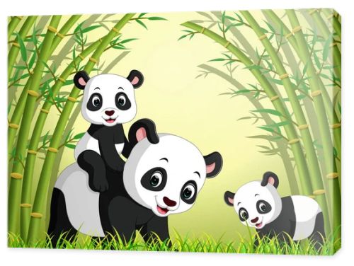 two cute panda in a bamboo forest