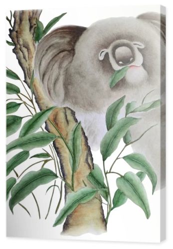 The watercolor shows a cute koala on a eucalyptus branch, she's eats leaves. Illustration executed in chinese style, isolated on white background.