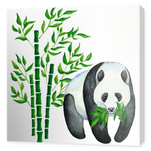 watercolor drawing three trunks of bamboo with green foliage and panda eats leaves