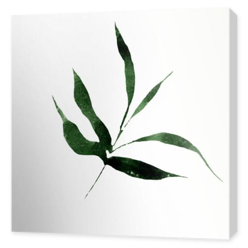 Isolated bamboo and bambooleavs illustration element. Watercolor background illustration set. Aquarelle isolated.