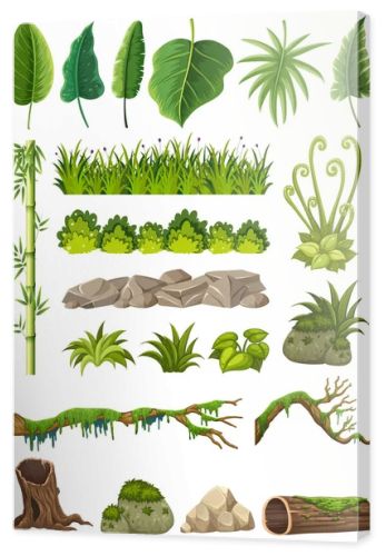 Set of various jungle objects illustration