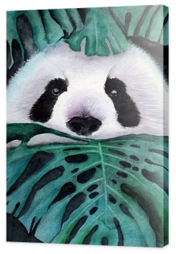Watercolor illustration of a cute white and black panda peeking out from green tropical monstera leaves