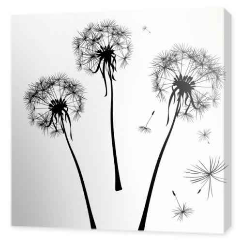 dandelions