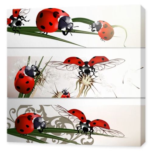 Business cards set with beetles in nature style