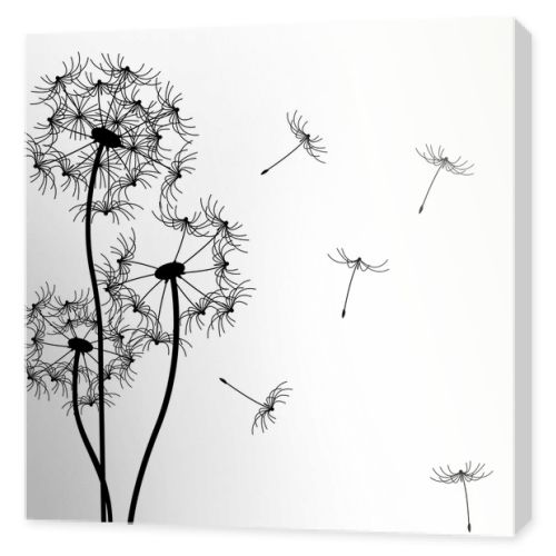 Vector dandelion