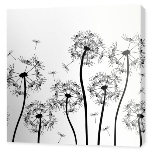 Vector dandelion