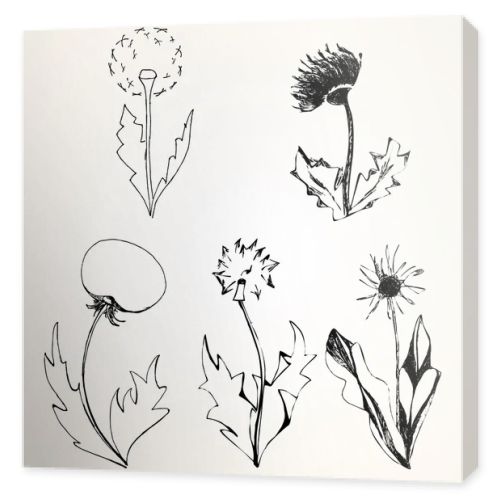 Set of stylized flowers dandelions