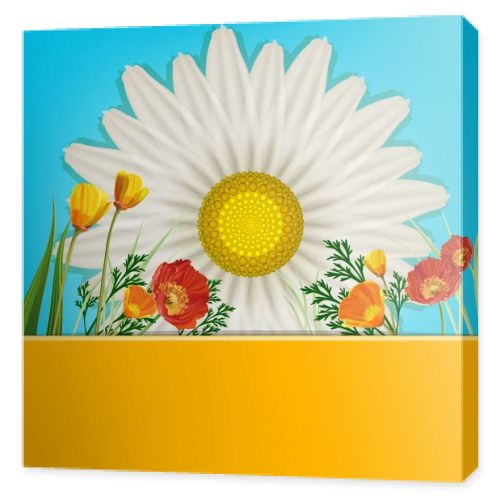 Beautiful card with daisies and poppies