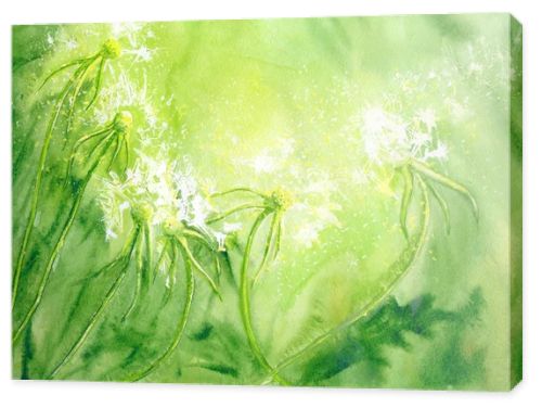 Watercolor background with dandelions