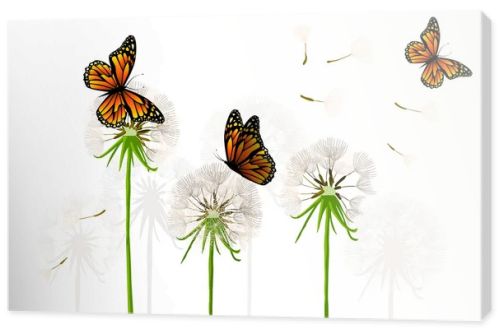 Dandelions with butterflies. Vector illustration