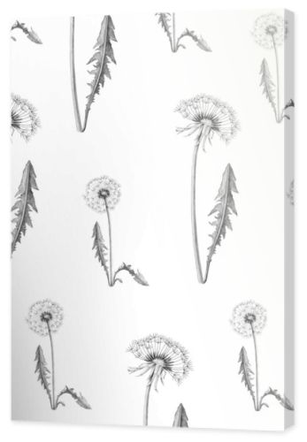 Realistic dandelion flower drawing set. Isolated wild plant and flying seeds. Herbal engraved style illustration. Dandelion pattern. Gray background with dandelion