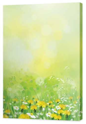 Background with chamomiles and dandelions