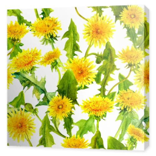 Dandelions seamless pattern. Spring yellow flowers. Watercolor floral repeated background