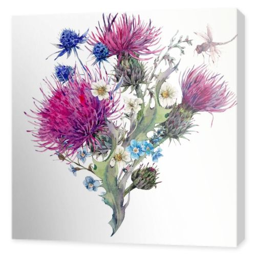 Summer watercolor greeting card with wild flowers, thistles, dan