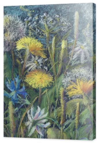 field flowers in summer