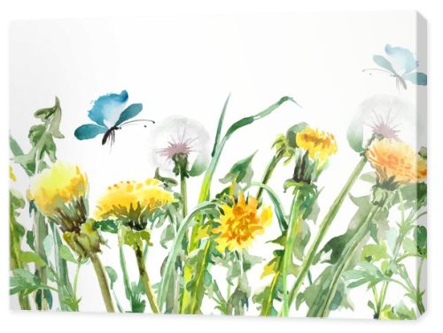 Dandelions. Yellow flowers with butterflies.