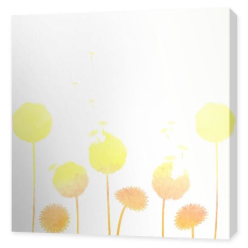 Dandelions background