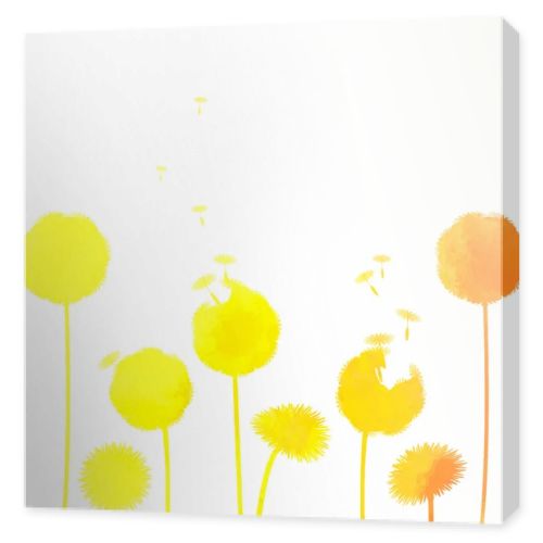 Dandelions background