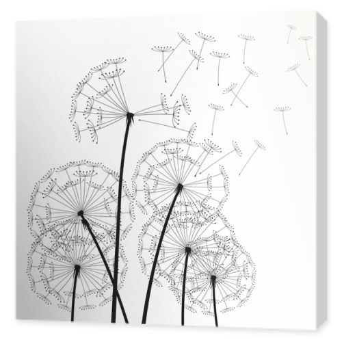 Black vector dandelions