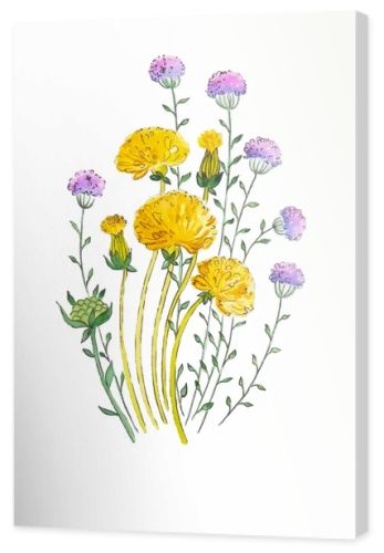 Dandelion and herbs watercolor illustration hand painted in vintage manner